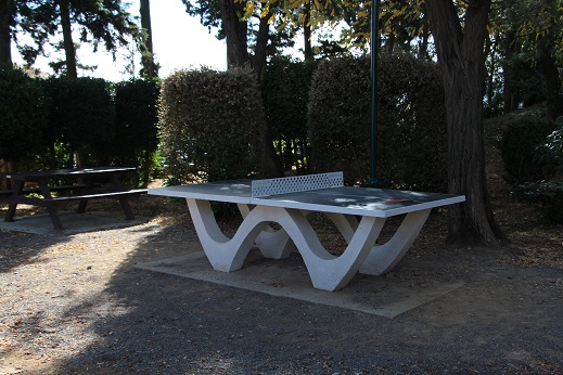 table de ping pong-light